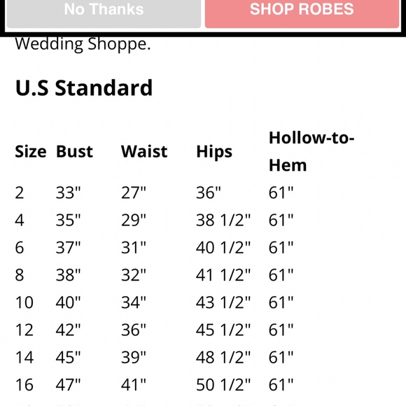 Formal beaded grey gown size 16 -never worn-never altered - Picture 14 of 14